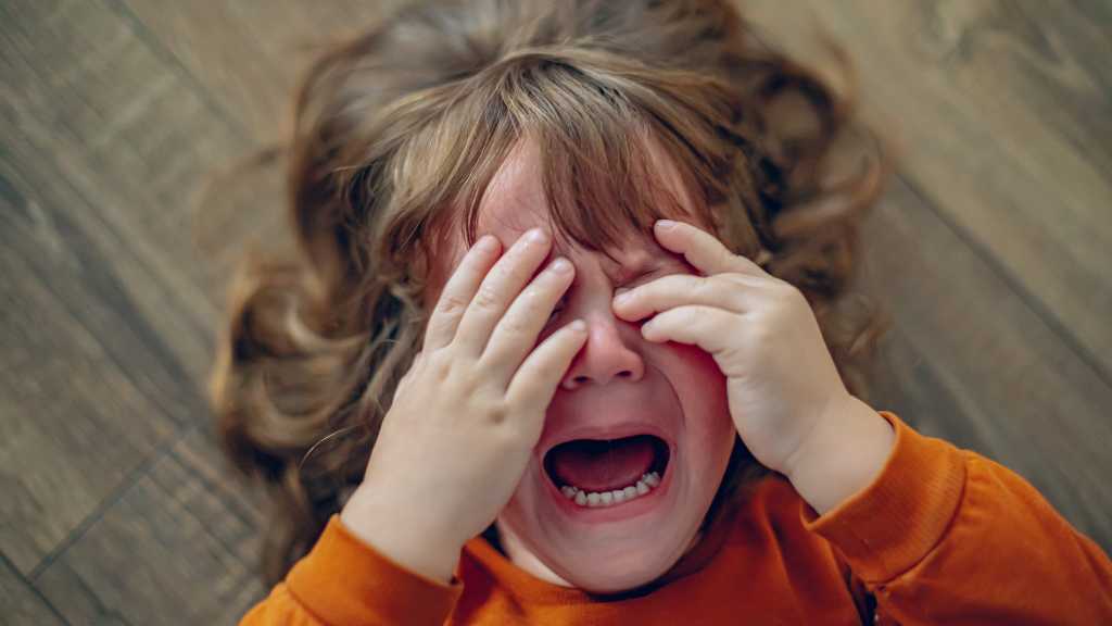 2-year-old having meltdown, toddler tantrums and emotional behavior