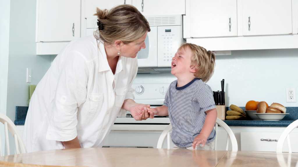 Parent calming toddler tantrum, understanding 2-year-olds have meltdowns