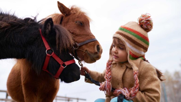 Animal Therapy in Autism